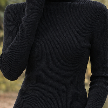 Skyler Fitted Ribbed Turtleneck Sweater - view 4