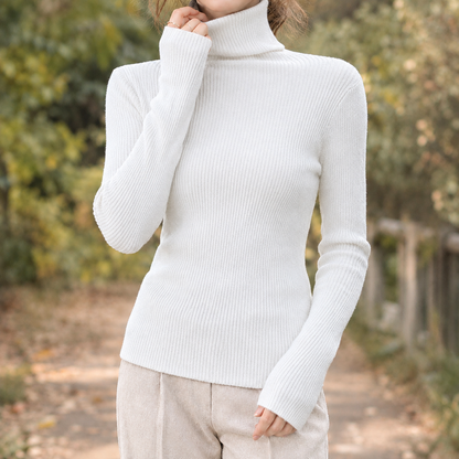 Skyler Fitted Ribbed Turtleneck Sweater - view 5